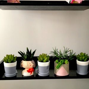 Bath & Body succulent Pocket Bac holders